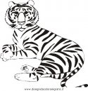 animali/tigri/tigre_14.JPG