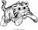 animali/tigri/tigrotto_3.JPG