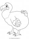 animali/uccelli/dodo_7.JPG