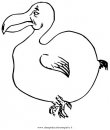 animali/uccelli/dodo_9.JPG