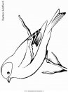 animali/uccelli/easterngoldfinch.JPG
