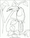 animali/uccelli/uccelli_144.JPG