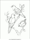 animali/uccelli/uccelli_176.JPG