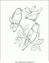 animali/uccelli/uccelli_178.JPG