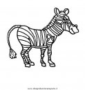 animali/zebre/zebra_32.jpg