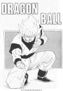 cartoni/dragonball/dragon_ball_9.JPG