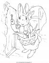 cartoni/peter_rabbit/peter_coniglio_rabbit_04.JPG
