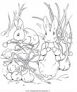 cartoni/peter_rabbit/peter_coniglio_rabbit_05.JPG