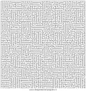 giochi/labirinti/labirinto_professionale_02.JPG