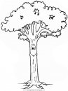 natura/alberi/piante_alberi_49.JPG