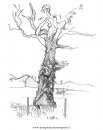 natura/alberi/tronco_0.JPG