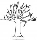 natura/alberi/tronco_2.JPG