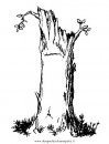 natura/alberi/tronco_3.JPG