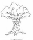 natura/alberi/tronco_5.JPG