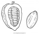 natura/alberi_speciali/cacao_0.JPG