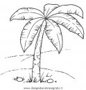 natura/alberi_speciali/palma.JPG
