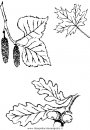 natura/autunno/natura_autunno_foglie_34.JPG