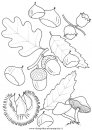 natura/autunno/natura_autunno_foglie_41.JPG