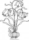 natura/fiori/fiore_fiori_199.JPG