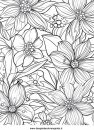 natura/fiori/fiori_45.JPG