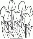 natura/fiori/fiori_fiore_078.JPG