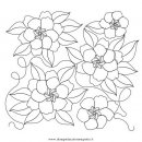 natura/fiori/gardenia_gardenie-2.JPG