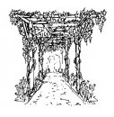 natura/fiori/glicine_pergola.jpg