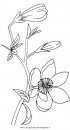 natura/fiori/magnolia_3.JPG