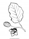 natura/foglie/foglie07.JPG