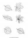 natura/foglie/foglie17.JPG