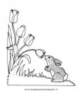 natura/primavera/primavera_a23.JPG
